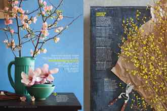 Better Homes & Gardens February 2015 Magazine Article: Page 70