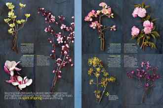 Better Homes & Gardens February 2015 Magazine Article: Page 72