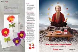 Better Homes & Gardens February 2015 Magazine Article: Page 114