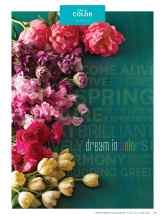 Better Homes & Gardens March 2015 Magazine Article: All together now