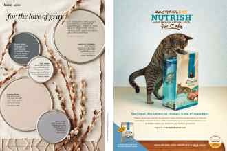 Better Homes & Gardens March 2015 Magazine Article: Page 38