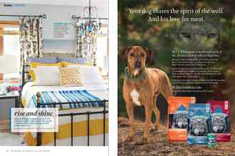 Better Homes & Gardens March 2015 Magazine Article: Page 46