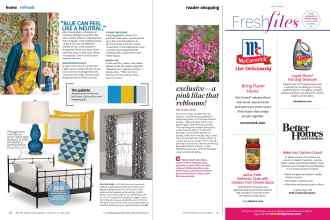 Better Homes & Gardens March 2015 Magazine Article: Page 48