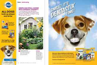 Better Homes & Gardens March 2015 Magazine Article: Page 76