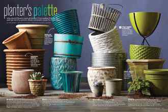 Better Homes & Gardens March 2015 Magazine Article: Planter's palette