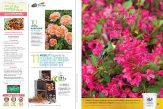 Better Homes & Gardens April 2015 Magazine Article: Page 50