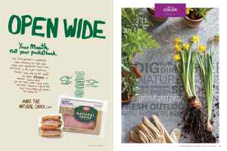 Better Homes & Gardens April 2015 Magazine Article: Page 88