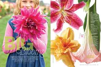 Better Homes & Gardens April 2015 Magazine Article: BIG Blooms