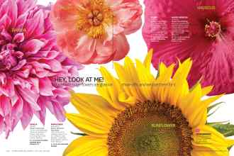 Better Homes & Gardens April 2015 Magazine Article: Page 102