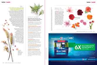 Better Homes & Gardens April 2015 Magazine Article: Page 162