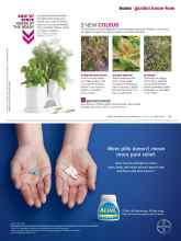 Better Homes & Gardens June 2015 Magazine Article: 3 NEW COLEUS