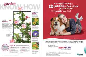 Better Homes & Gardens June 2015 Magazine Article: Page 88