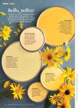 Better Homes & Gardens July 2015 Magazine Article: Hello, yellow