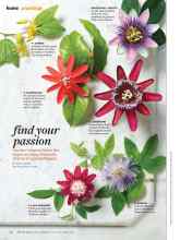 Better Homes & Gardens July 2015 Magazine Article: Find your passion