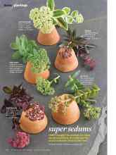 Better Homes & Gardens August 2015 Magazine Article: Super sedums
