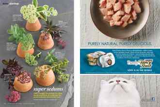 Better Homes & Gardens August 2015 Magazine Article: Page 66