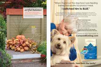 Better Homes & Gardens August 2015 Magazine Article: Page 74