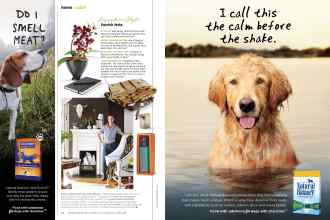 Better Homes & Gardens September 2015 Magazine Article: Page 54