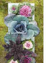 Better Homes & Gardens October 2015 Magazine Article: Too pretty to eat
