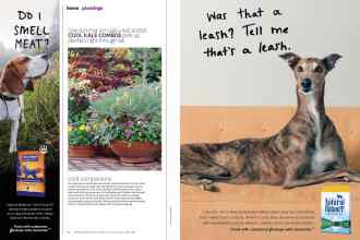 Better Homes & Gardens October 2015 Magazine Article: Page 72