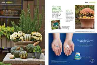 Better Homes & Gardens November 2015 Magazine Article: Page 78