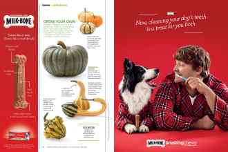 Better Homes & Gardens November 2015 Magazine Article: Page 82