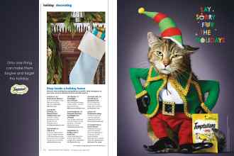 Better Homes & Gardens December 2015 Magazine Article: Page 60