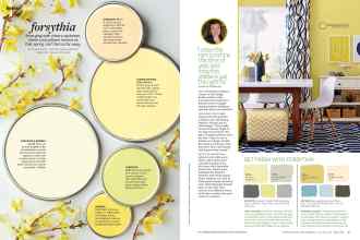 Better Homes & Gardens January 2016 Magazine Article: Forsythia