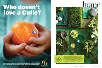 Better Homes & Gardens February 2016 Magazine Article: Page 24