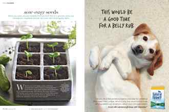 Better Homes & Gardens February 2016 Magazine Article: Page 50