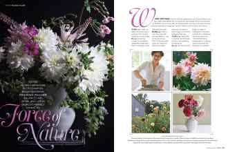 Better Homes & Gardens February 2016 Magazine Article: Force of Nature