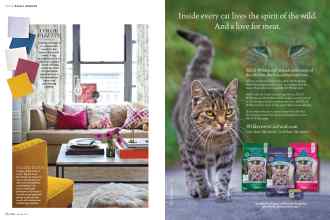 Better Homes & Gardens March 2016 Magazine Article: Page 36