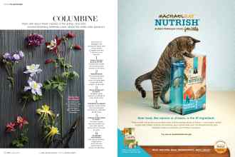 Better Homes & Gardens March 2016 Magazine Article: Page 72