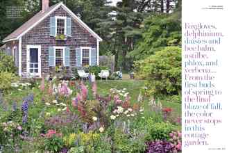 Better Homes & Gardens March 2016 Magazine Article: Foxgloves, delphinium, daisies and bee balm, astilbe, phlox, and verbena...