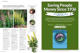 Better Homes & Gardens April 2016 Magazine Article: Page 52