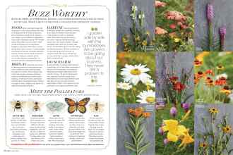 Better Homes & Gardens April 2016 Magazine Article: Page 98