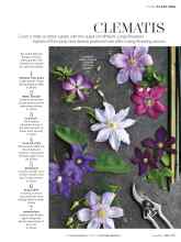 Better Homes & Gardens June 2016 Magazine Article: CLEMATIS