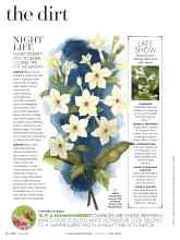 Better Homes & Gardens June 2016 Magazine Article: NIGHT LIFE