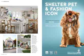 Better Homes & Gardens June 2016 Magazine Article: Page 34