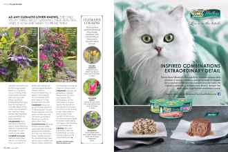 Better Homes & Gardens June 2016 Magazine Article: Page 66