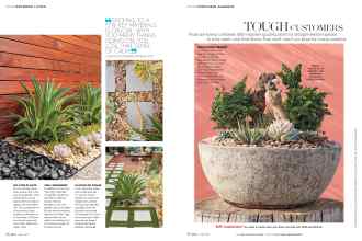 Better Homes & Gardens July 2016 Magazine Article: Page 56