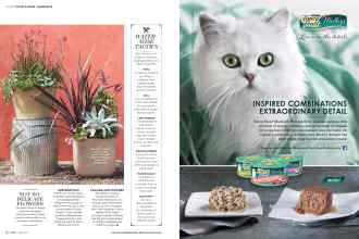 Better Homes & Gardens July 2016 Magazine Article: Page 62