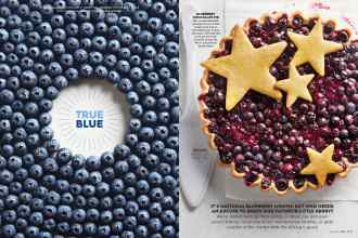 Better Homes & Gardens July 2016 Magazine Article: Page 100