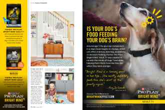 Better Homes & Gardens August 2016 Magazine Article: Page 38