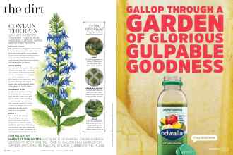 Better Homes & Gardens August 2016 Magazine Article: Page 74