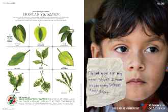 Better Homes & Gardens August 2016 Magazine Article: Page 82