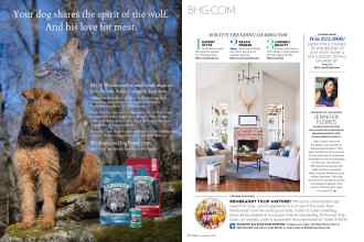 Better Homes & Gardens September 2016 Magazine Article: Page 9