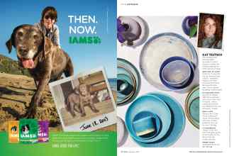 Better Homes & Gardens September 2016 Magazine Article: Page 31