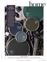 Better Homes & Gardens October 2016 Magazine Article: NIGHT SHADES