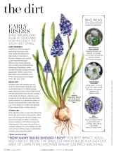 Better Homes & Gardens October 2016 Magazine Article: EARLY RISERS